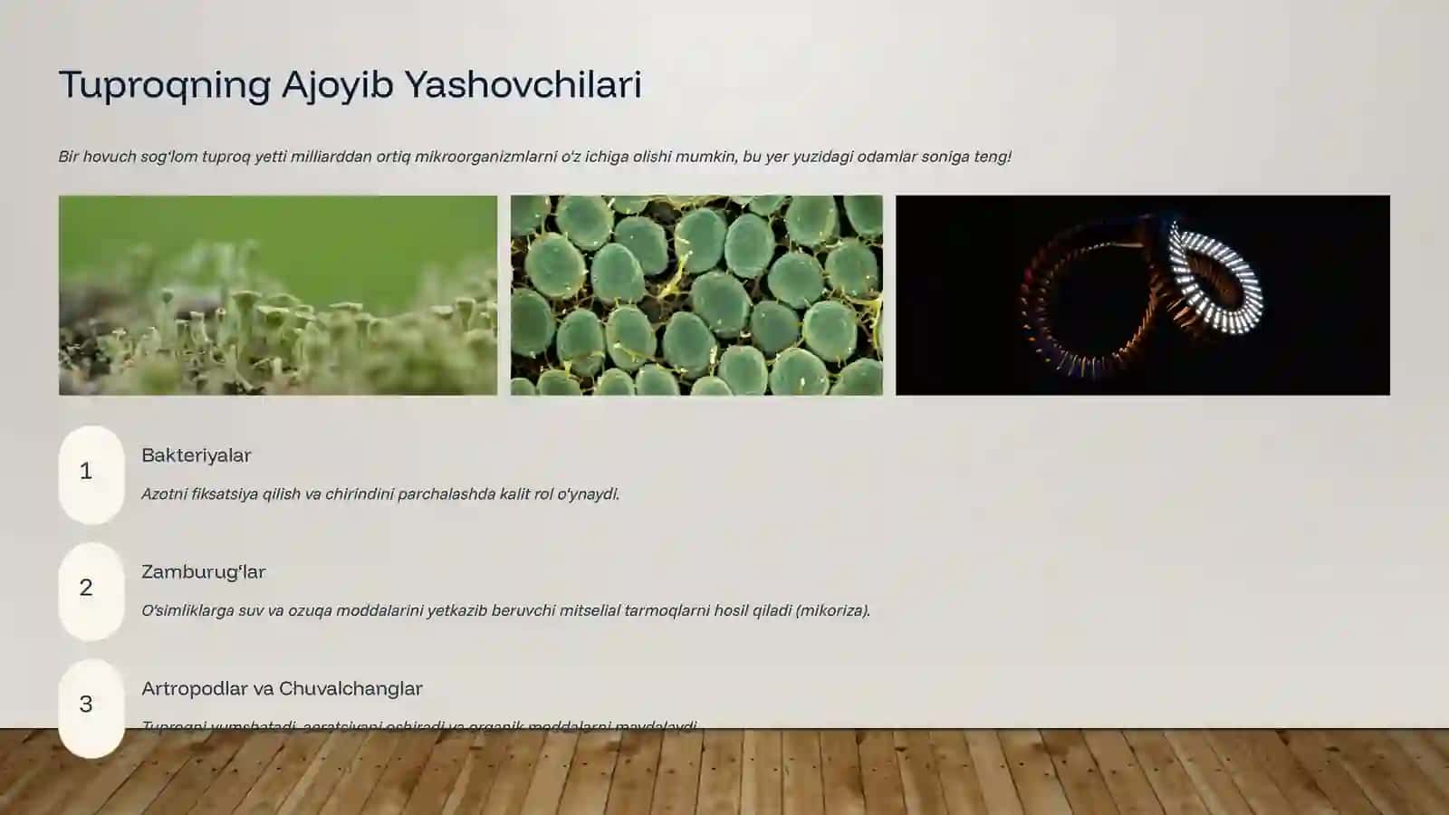 Tuproq ekologiyasi 4