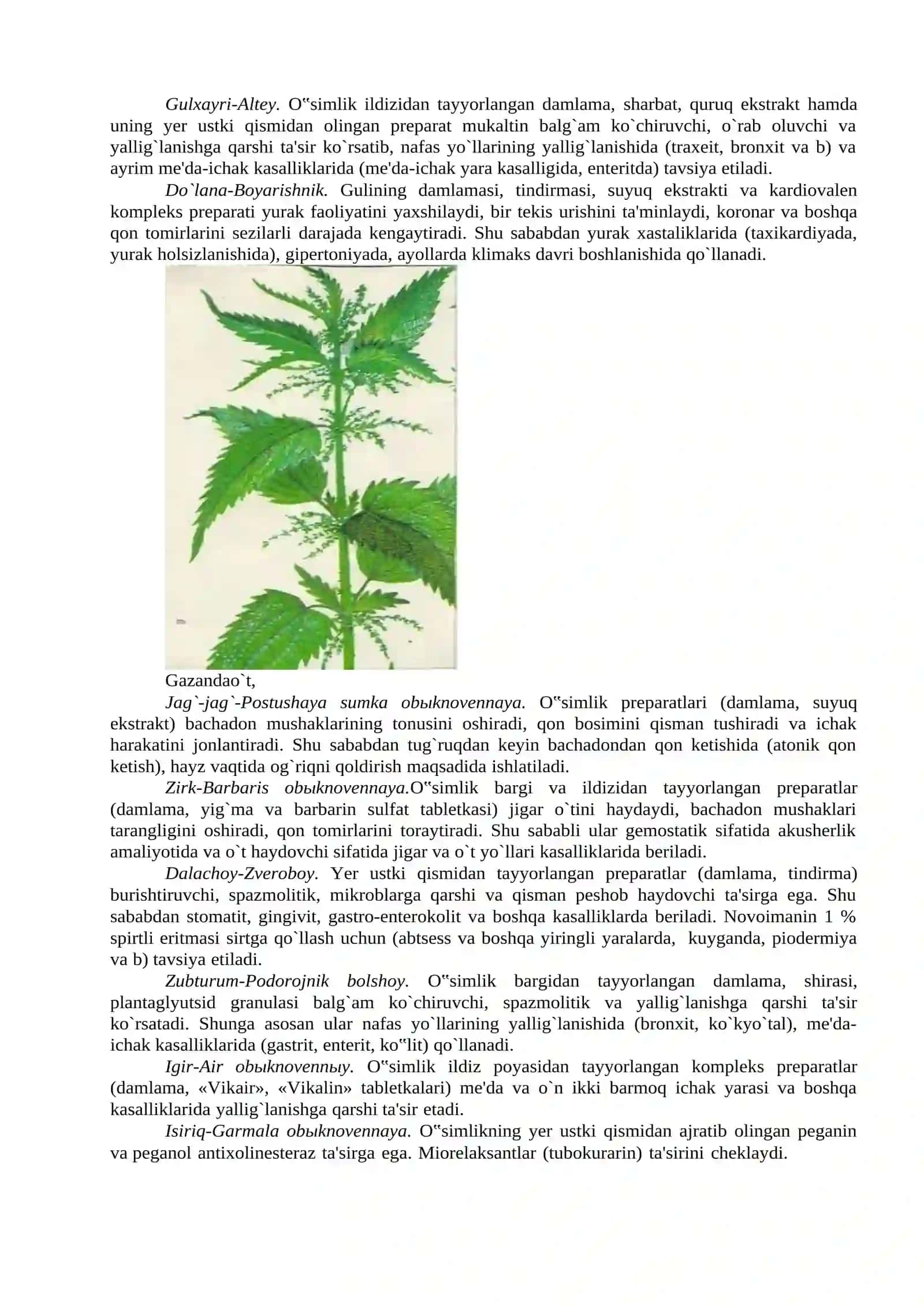 Ma'ruza 19 Halq tabobatida ishlatiladigan ayrim dorivor o'simliklar 4