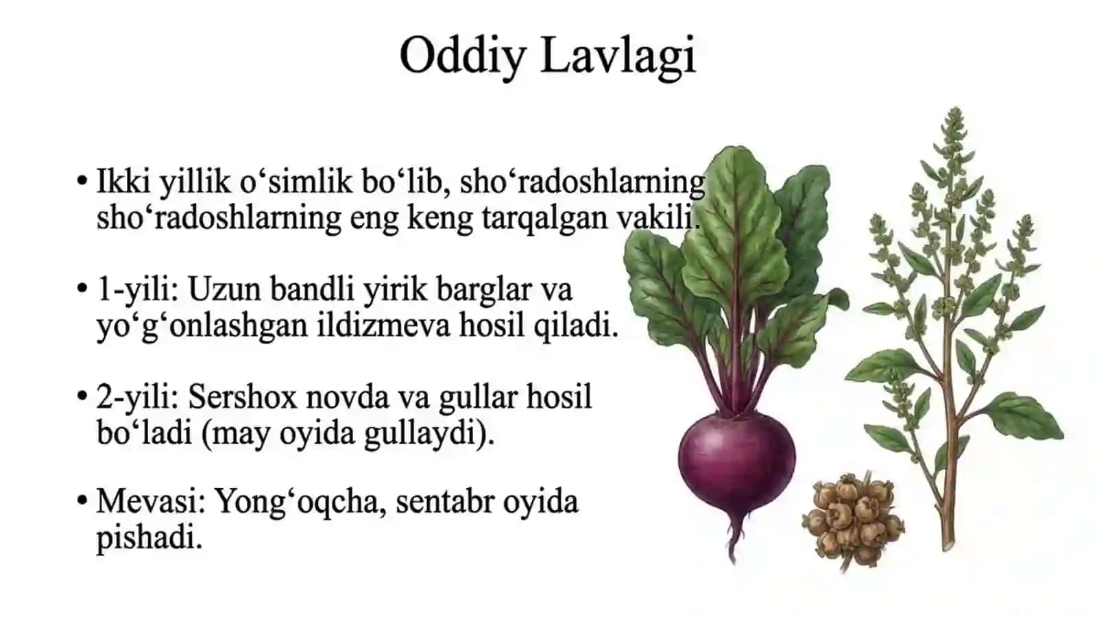Sho'radoshlar oilasi 4