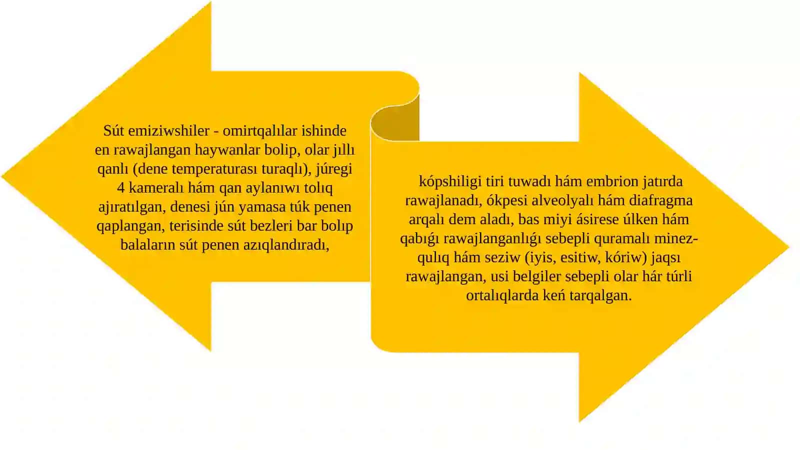 Sút emiziwshilerdiń individual qásiyetleri 4