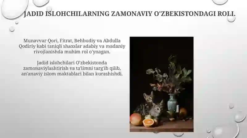 Jadid Merosı: O'zbek Jamiyatiga Ta'siri 4