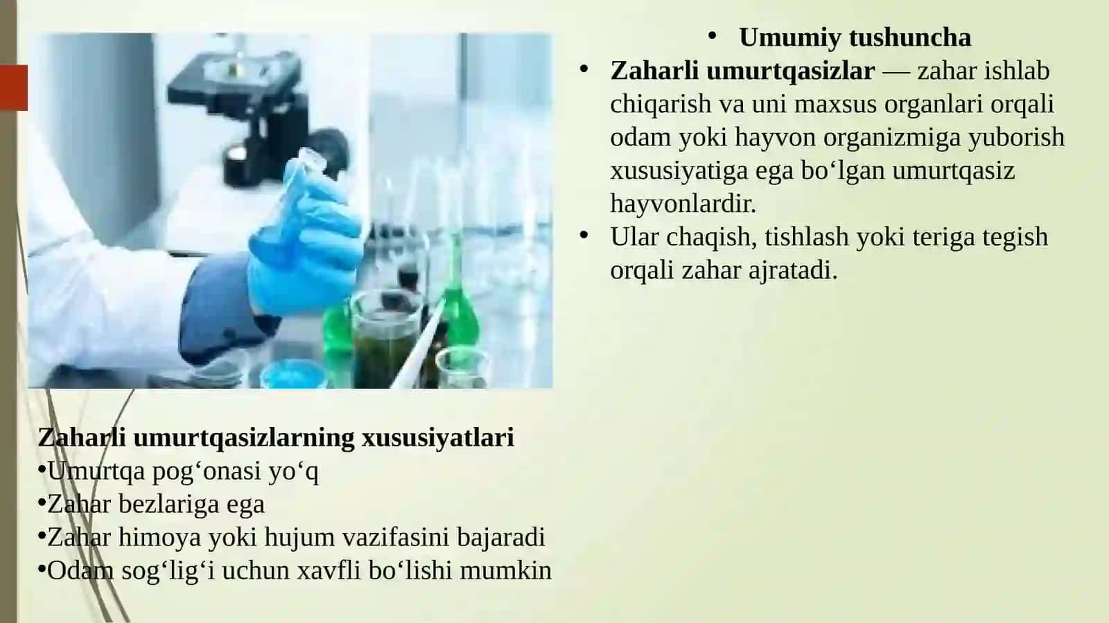 Zaharli hayvonlar umurtqasizlar 4