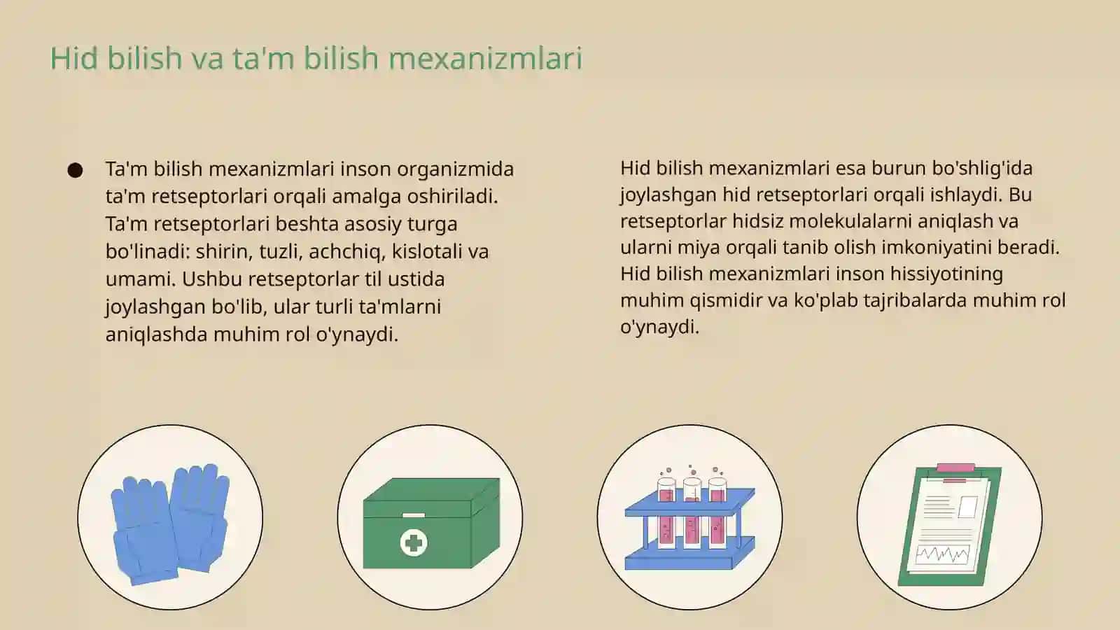 Ta'm bilish va hid bilish a'zolarining funksional anatomiyasi 4