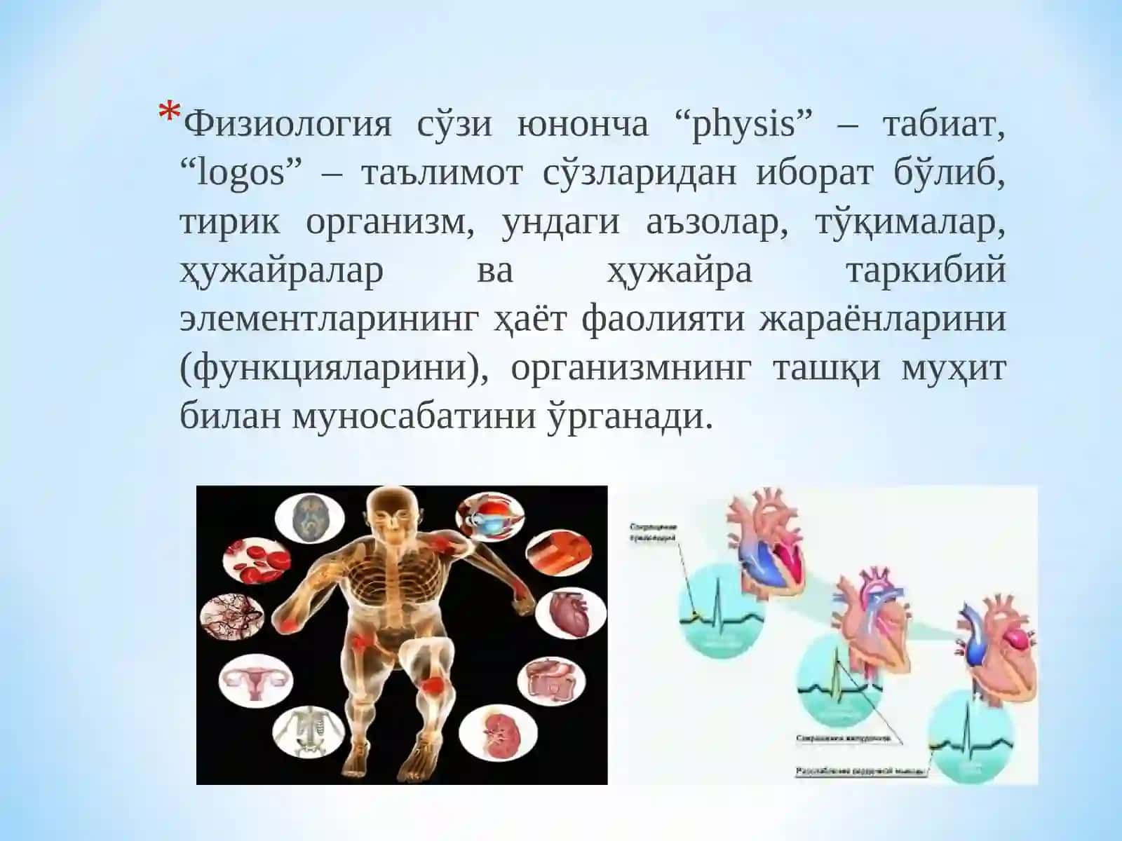 Физиология фанига кириш 4