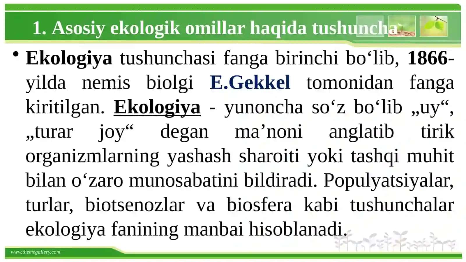O‘rmonlar shakllanishida ekologik omillarning о‘rni 4