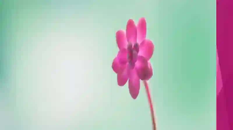 FANTASTIKA 4