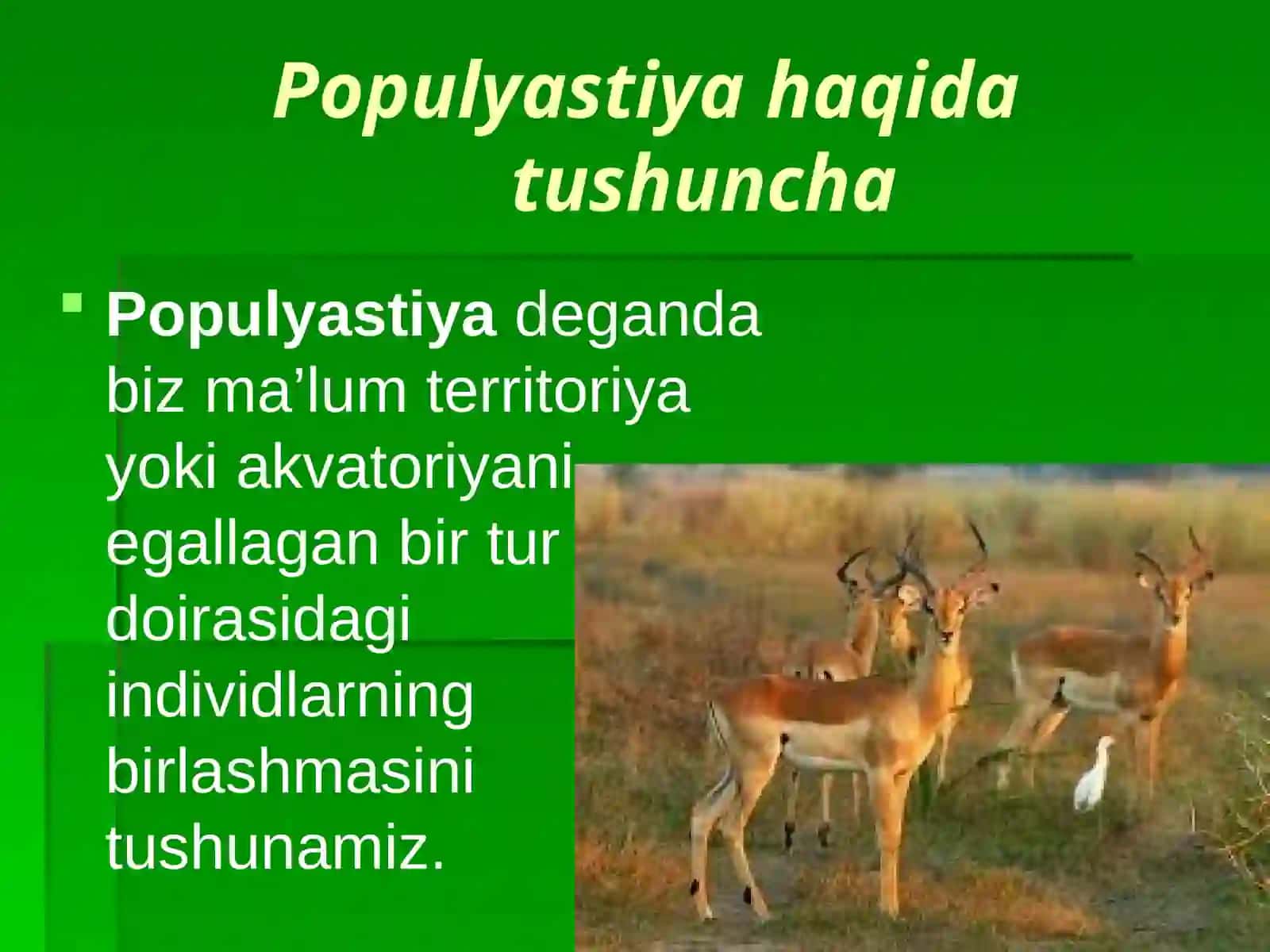 Hayvonlarning Populyatsiyasi 4