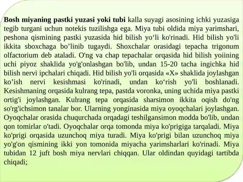 Bosh miya 4