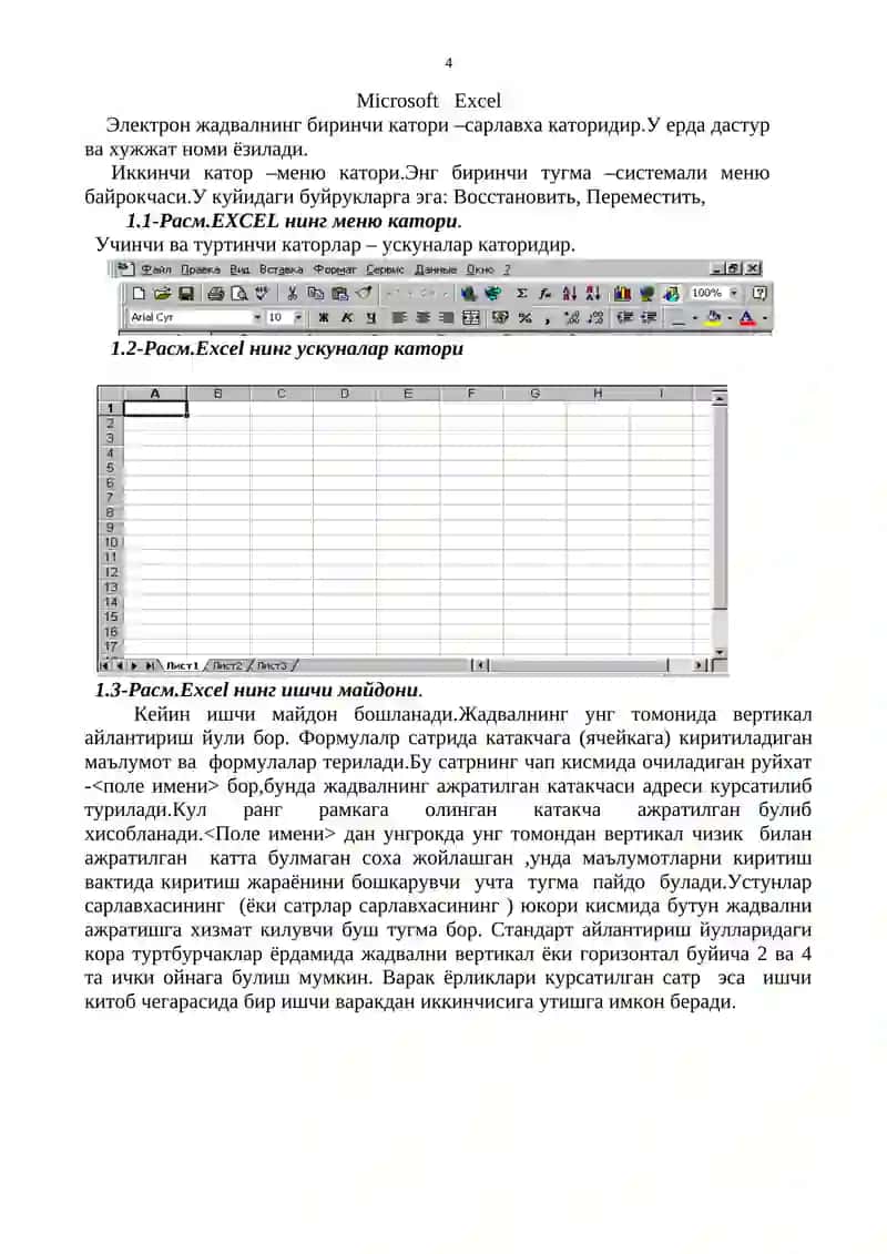 Microsoft Excel 4