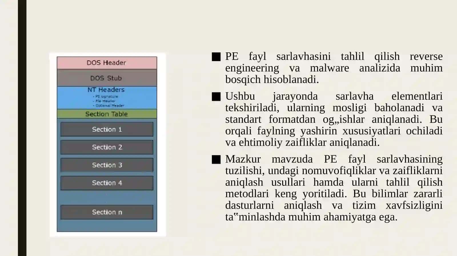 PE fayl sarlavhasidagi nomuvofiqliklar va zaifliklarni aniqlash usullari. 4