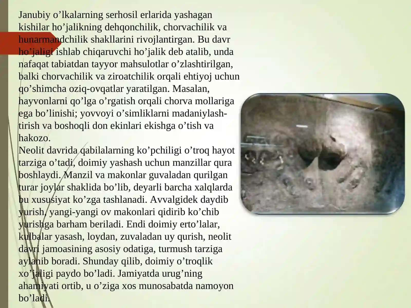 neolit davri arxeologiyasi slide 4