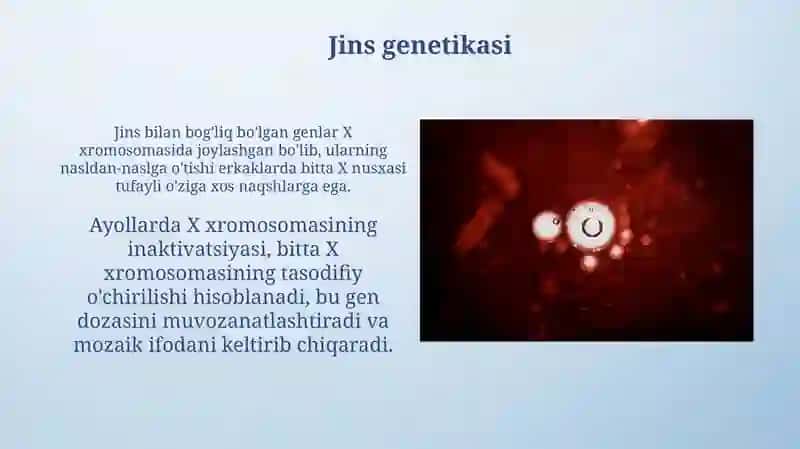 Tomas Morganning xromosoma nazariyasi 4