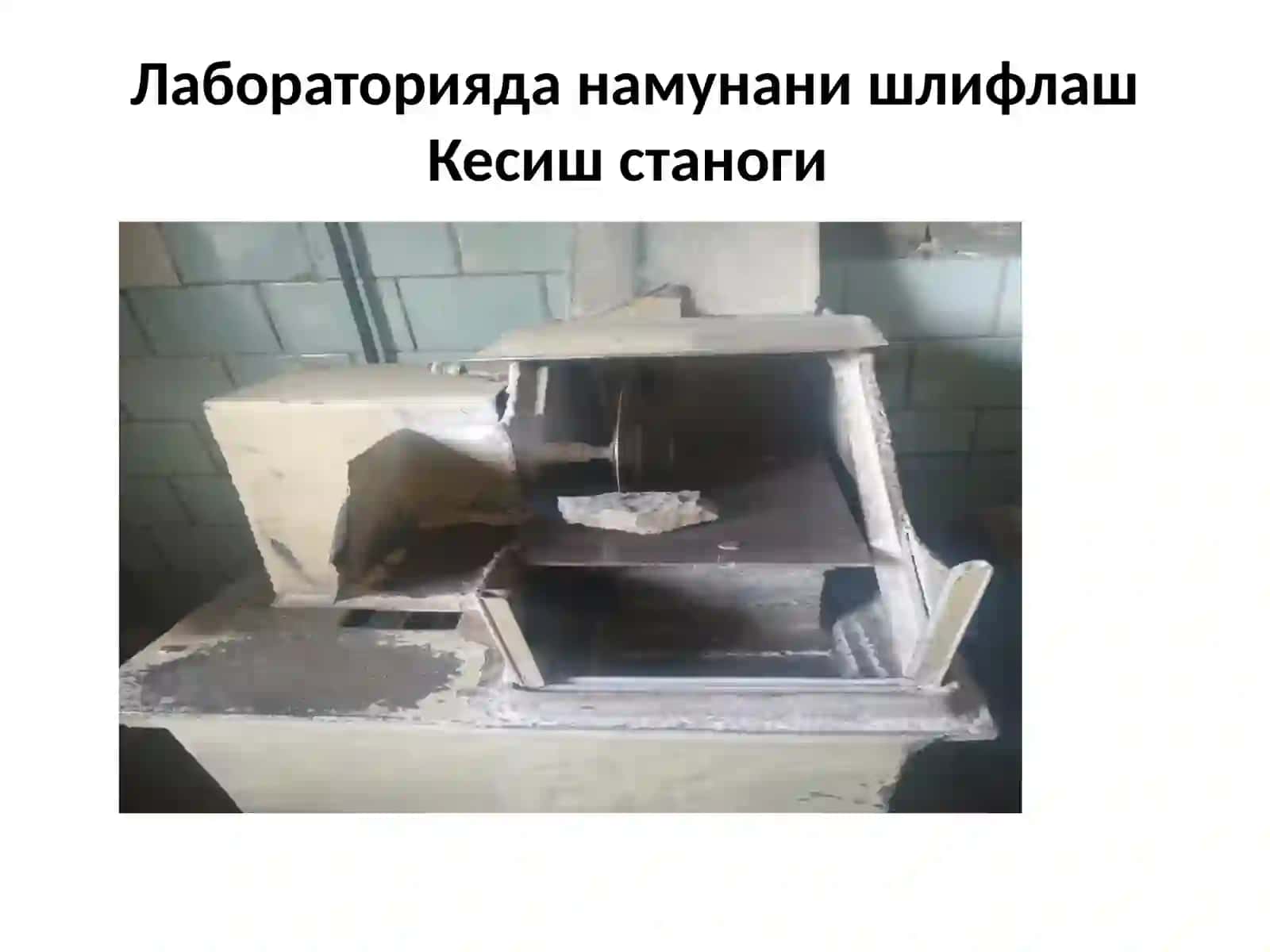 Палеонтология фанидан амалиёт 4