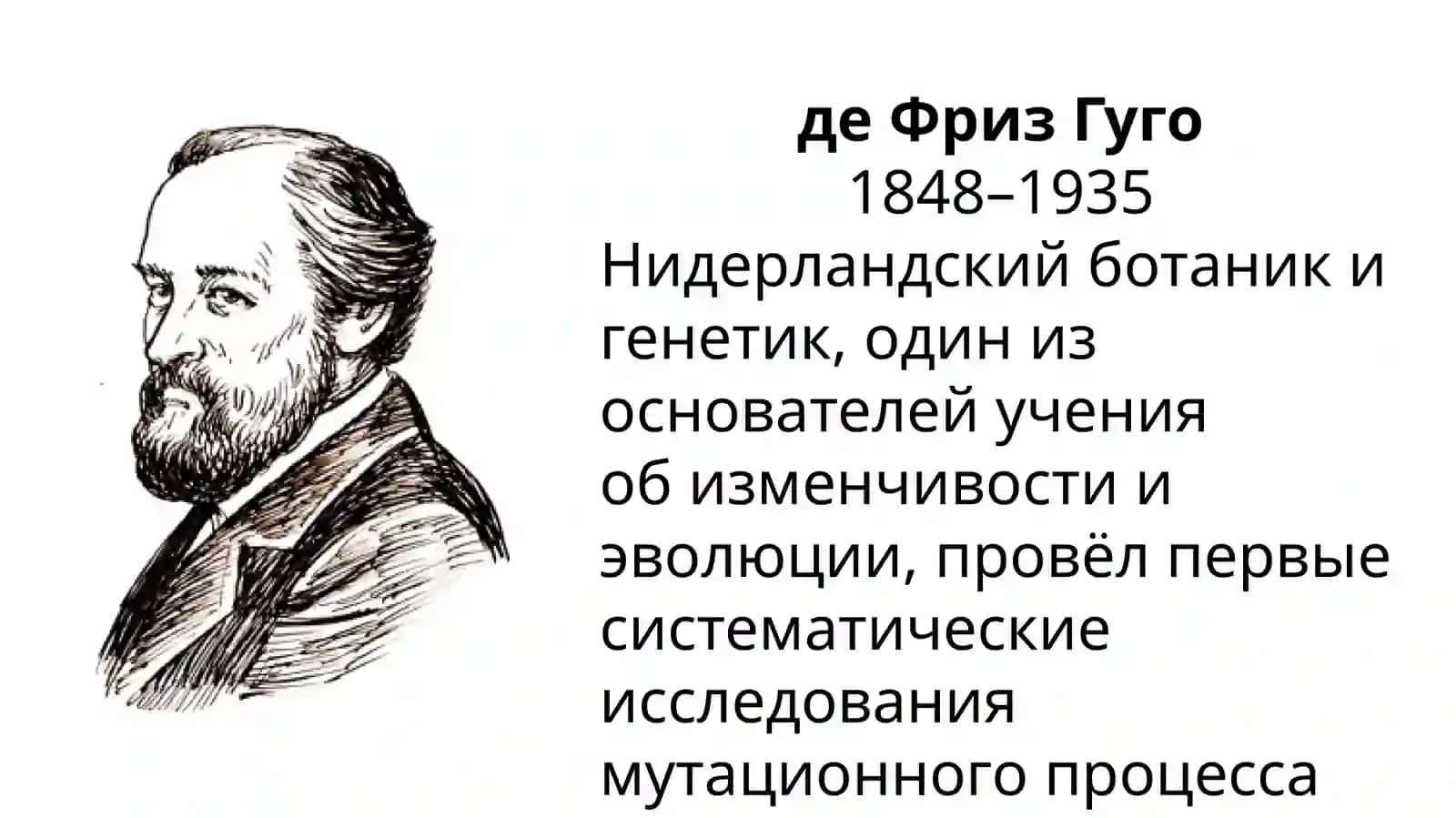Комбинативная изменчивость 4