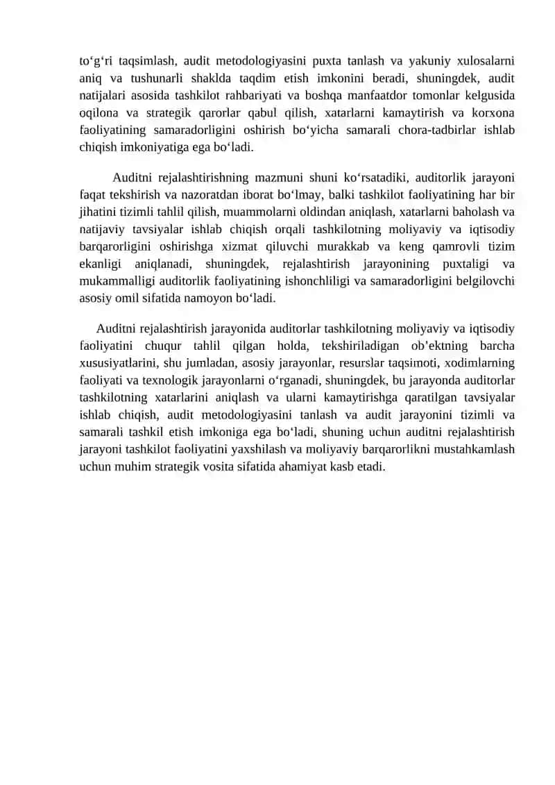 AUDITNI REJALASHTIRISH BOSQICHLARI 4