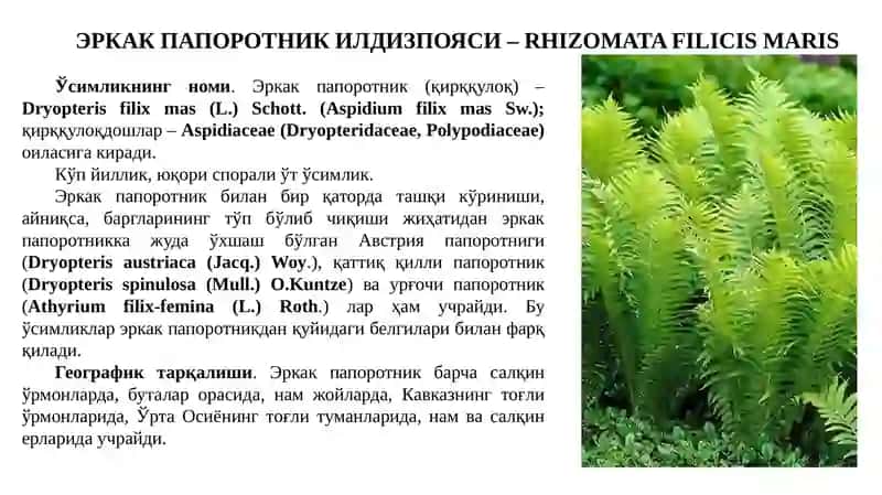 ДОРИВОР ЎСИМЛИКЛАРНИ ФЕНОЛ БИРИКМАЛАР БЎАНИҚЛАШ, АНАЛИЗ ҚИЛИШ ВА УЛАРНИНГ МАҲСУЛОТЛАРИ. 4