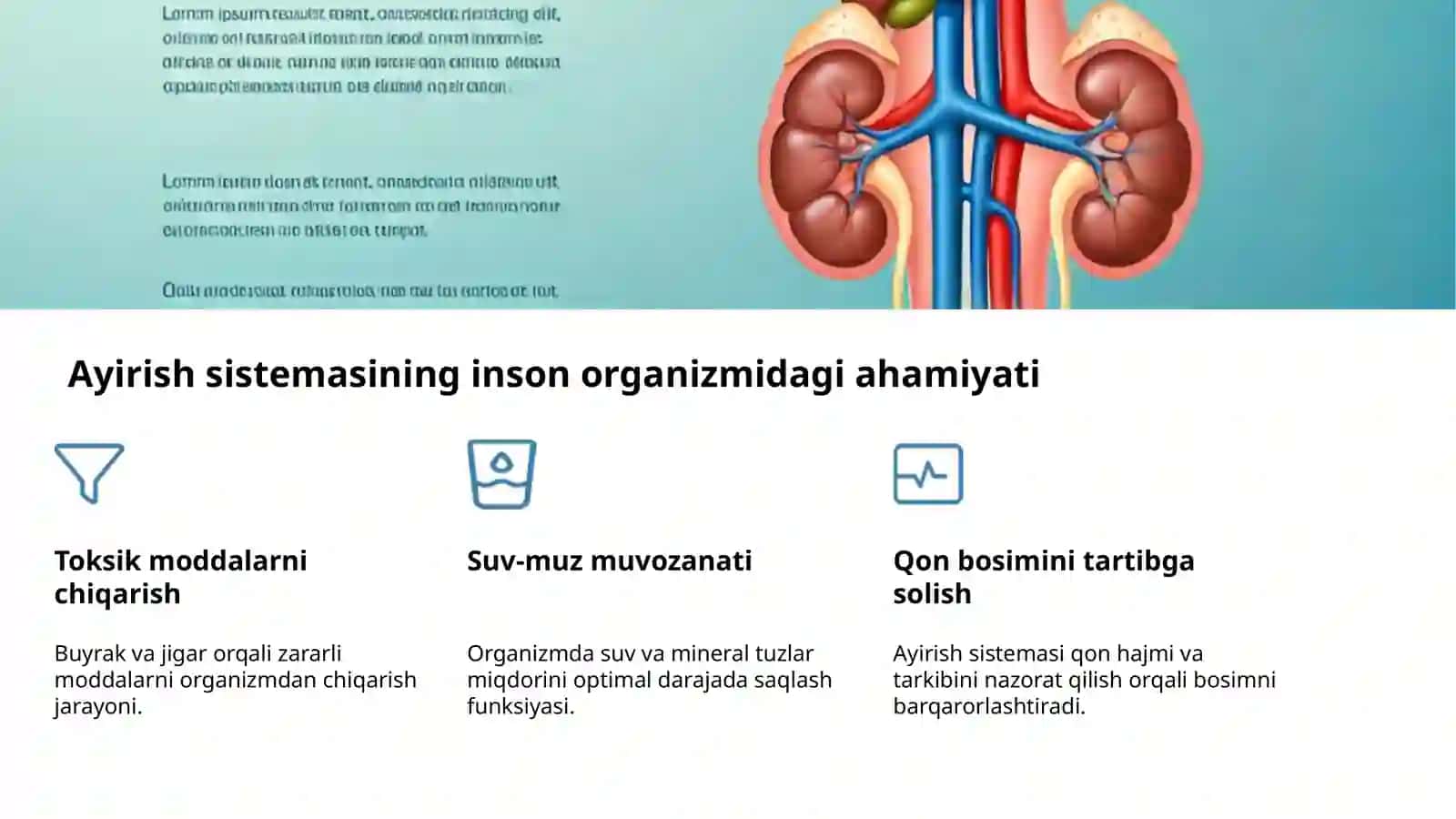 Ayirish sistemasining hayotdagi ahamiyati 4