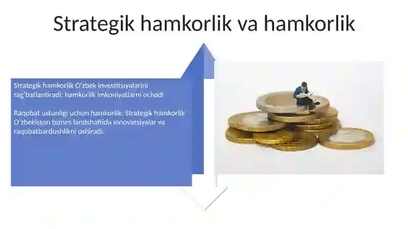 Investitsiyakiritish: Strategiyalarva Imkoniyatlar 4