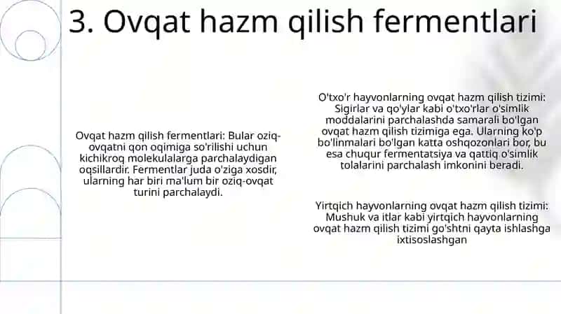 Sutemizuvchilarning Hazm Qilish Sistemasi 4