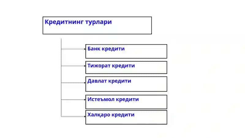 Кредитнинг зарурлиги, функциялари, шакллари ва турлари 4