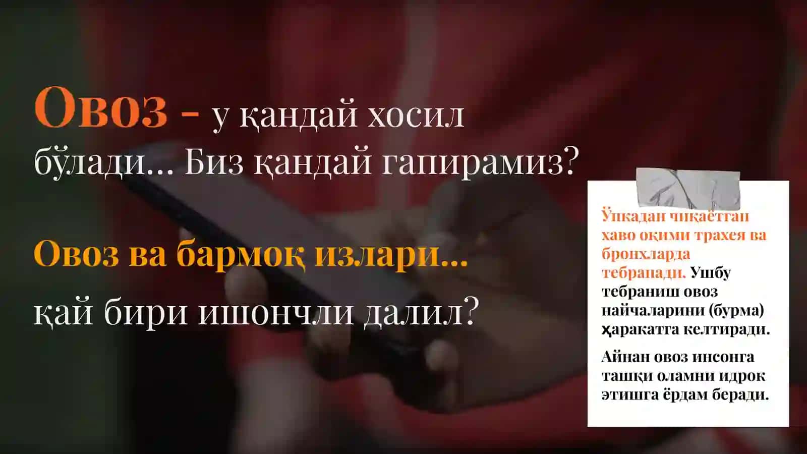 Суд фонографик экспертизаси 4
