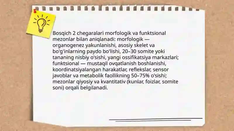 Ontagenetik taraqqiyotni davrlashtirish muammosi 4