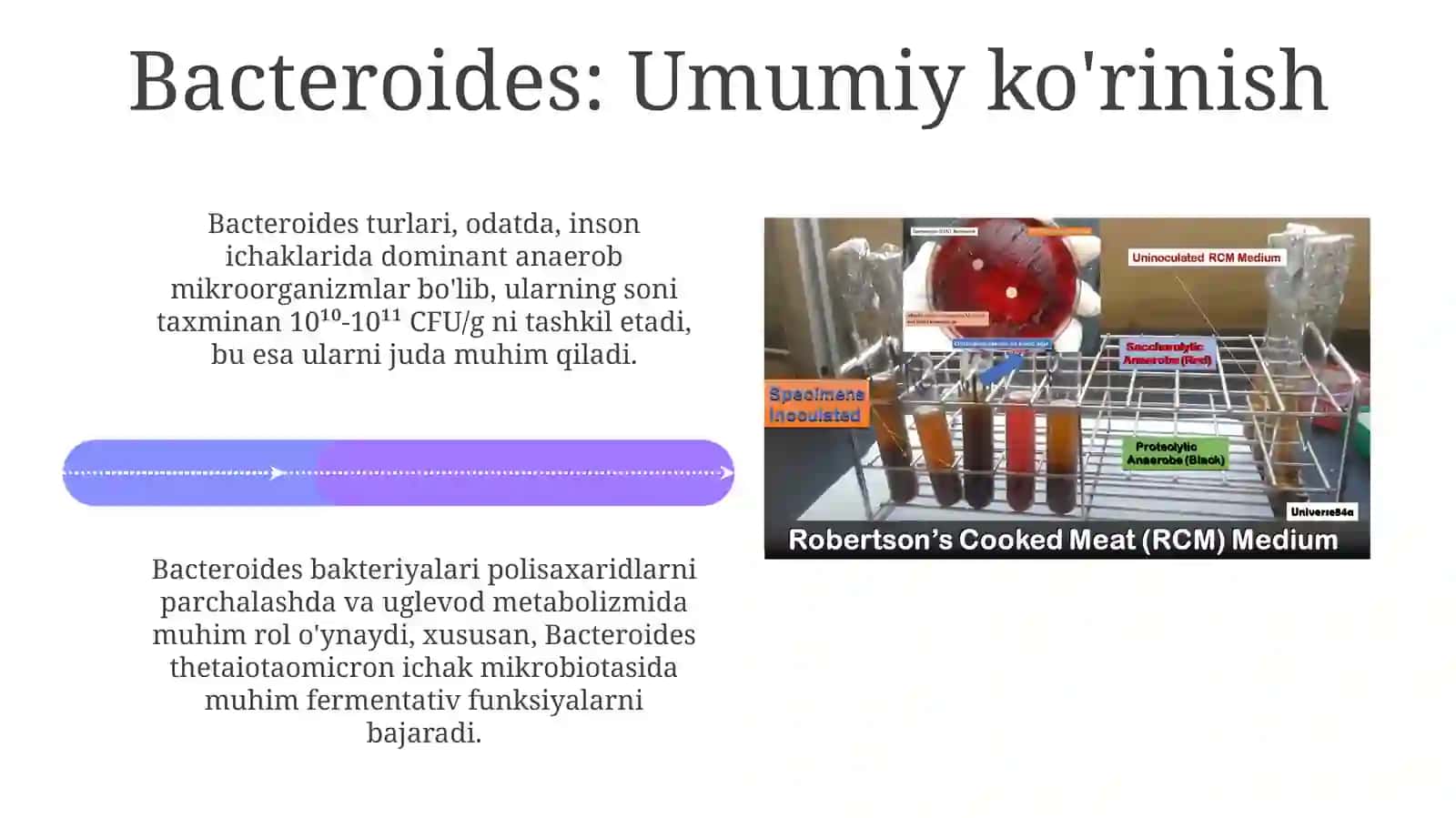 Patogen anaerob klostridial bo'lmagan infeksiya qo'zg'atuvchilari (Bacteroides, Prevotella) 4