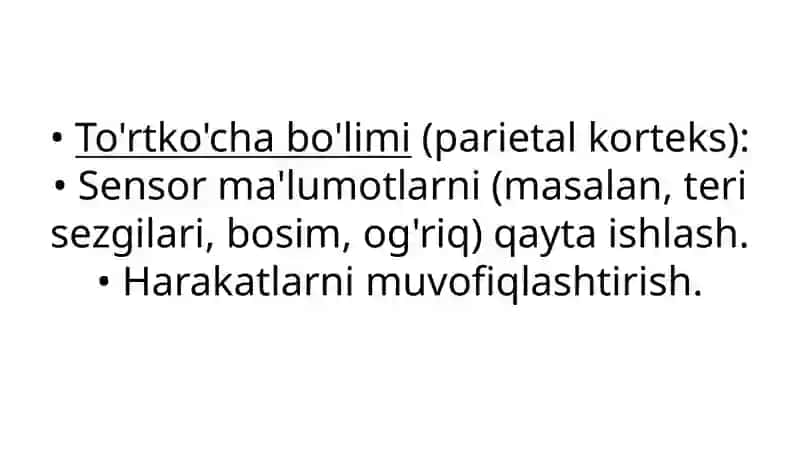 Bosh miya turli bo'limlari faoliyatini o'rganish. Oliy nerv faoliyati bo'limlarining vazifalari. 4