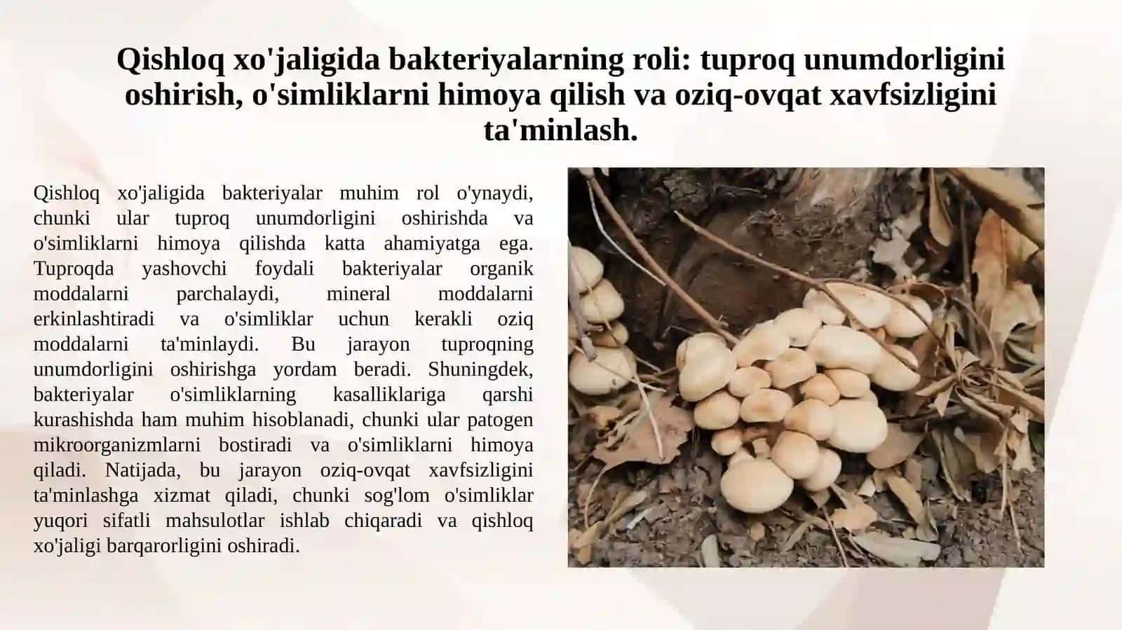 Bakteryalardan sanoatda va qishloq xo'jaligida foydalanish 4