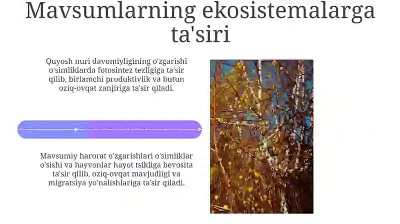 Reja: Mavsumlar fani 4