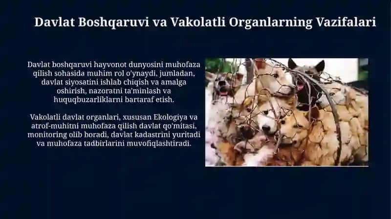 O'zbekiston Respublikasi hayvonot dunyosini muhofaza qilish to'g'risidagi qonun 4