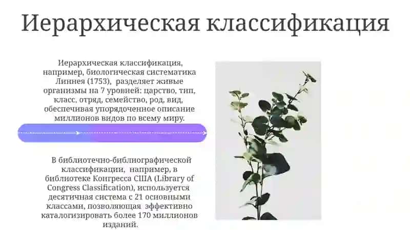 Классификация предметов, явлений 4