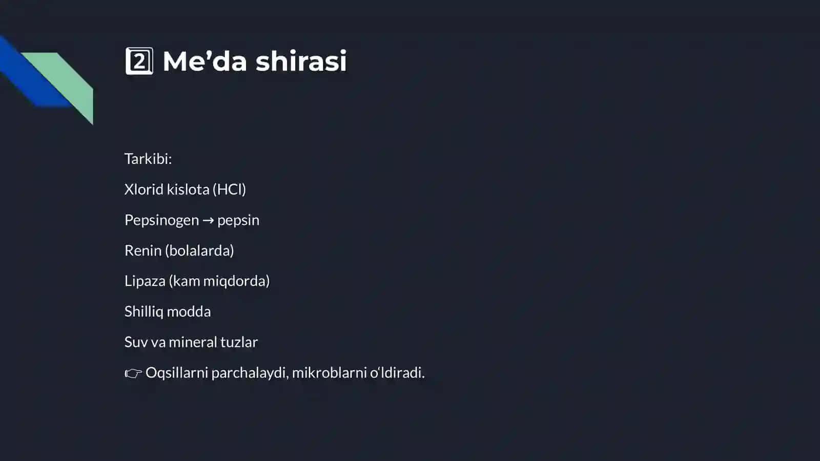 Hazm kanalıdagı shıralar 4