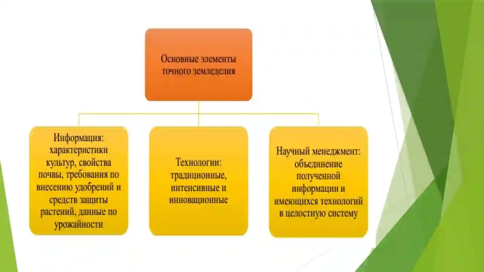 Цифровая трансформация отраслей экономики (сельское хозяйство) 4