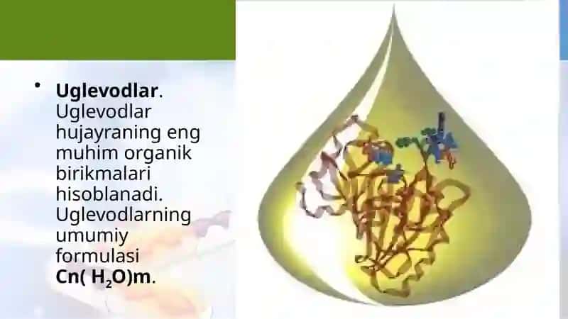 Uglevodlar va lipidlar 4