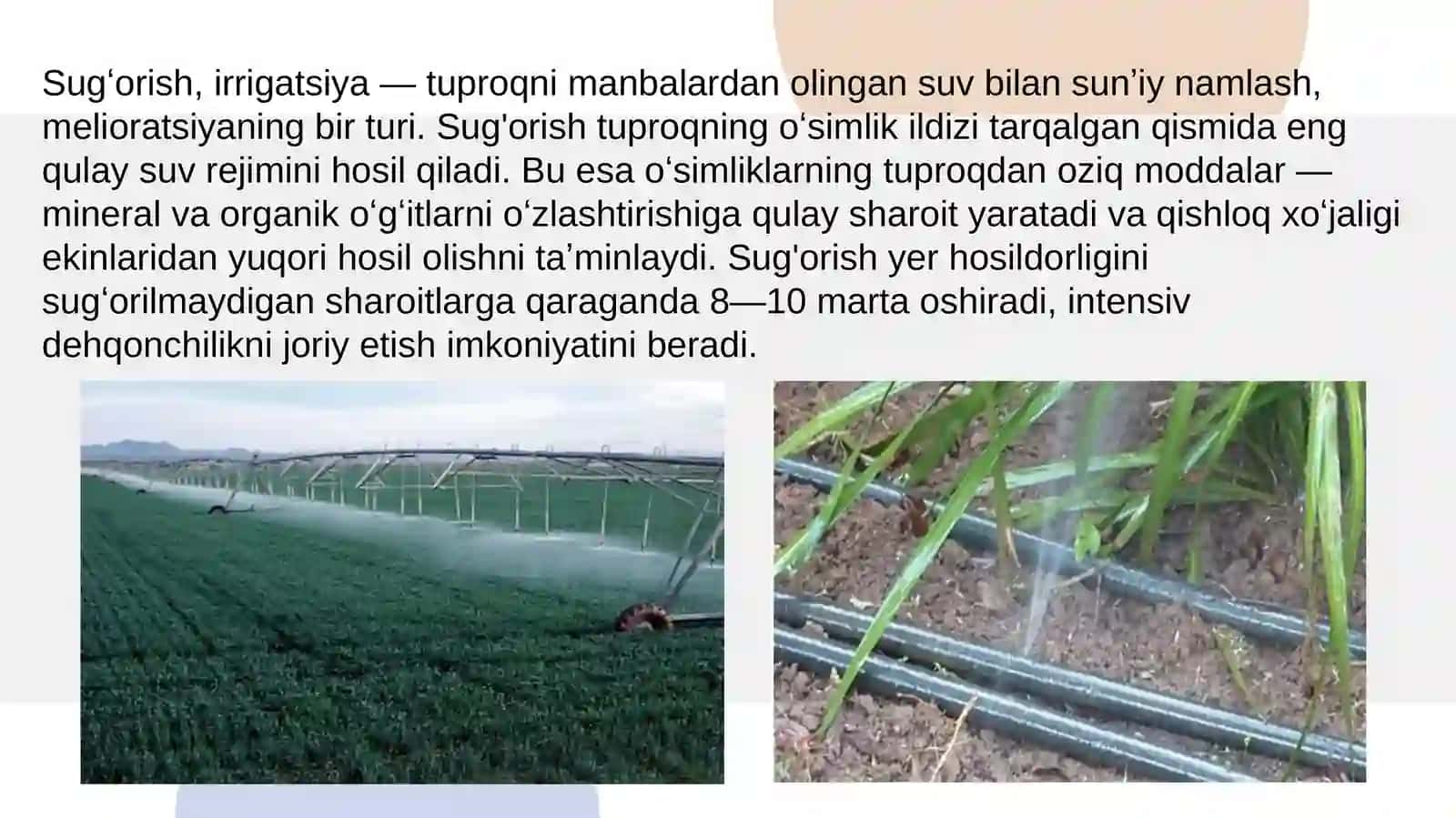 Tuproqshunoslik fanidan taqdimoti 4