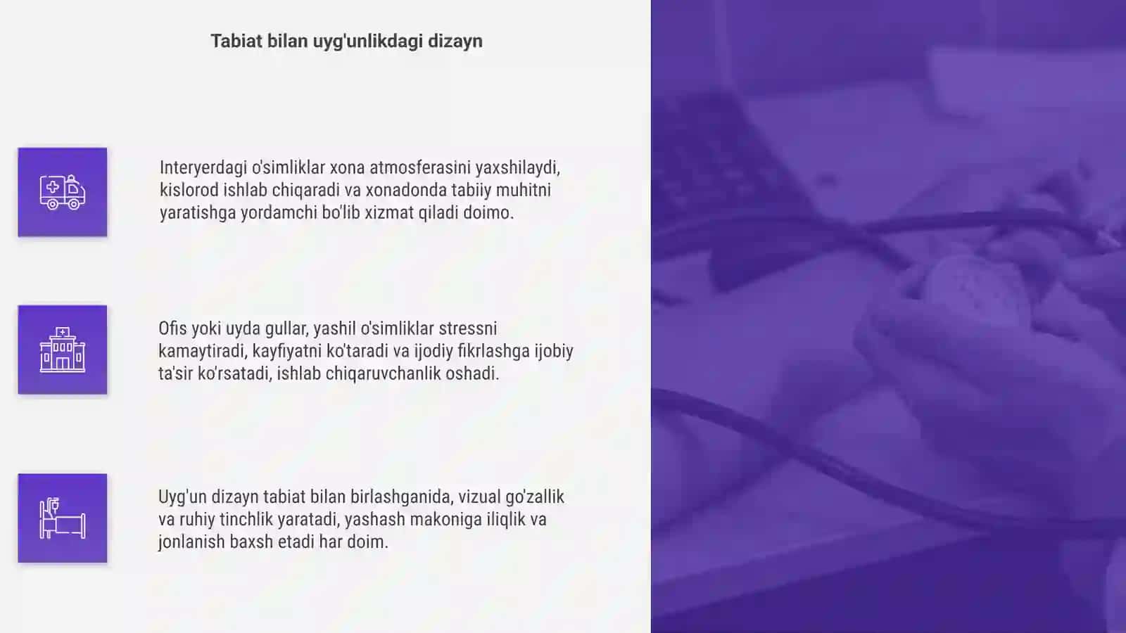 Interyerda o'simlik va gullar dunyosi, xonadon offislari 4