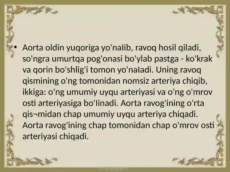 O`mrovosti, qo`ltiq, yelka, bilaksohasi arteriyalarining taraqqiyoti 4