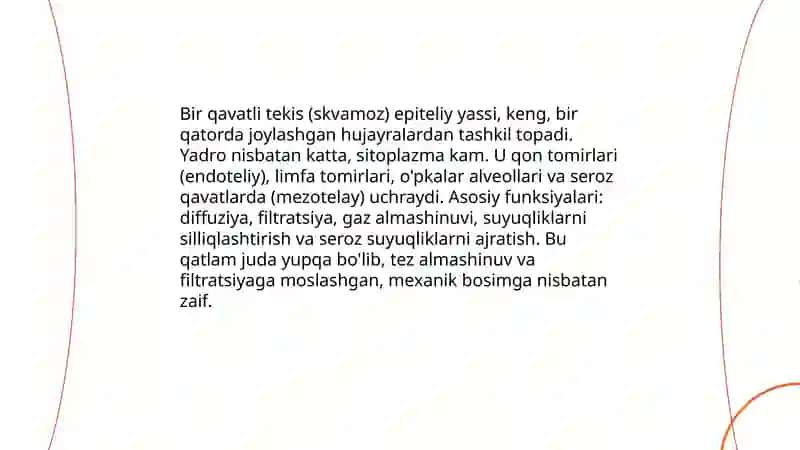 Bir qavatli epiteliy 4