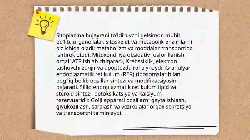 Hujayra tuzilishi.Hujayra nazaryasi.Hayvon va odam xromosomalarining morfofunksional xarakteriktikasi 4