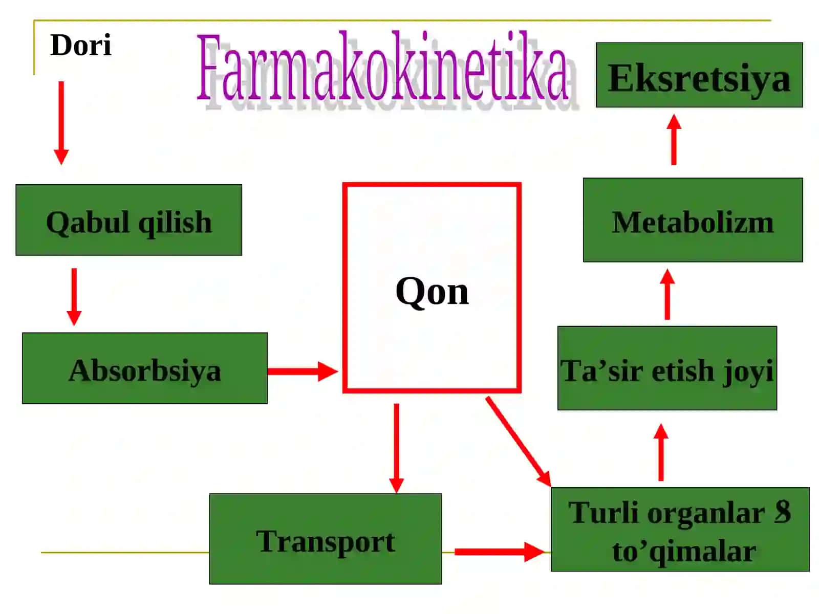 CENTRAL ASIAN MEDICAL UNIVERSITY 4