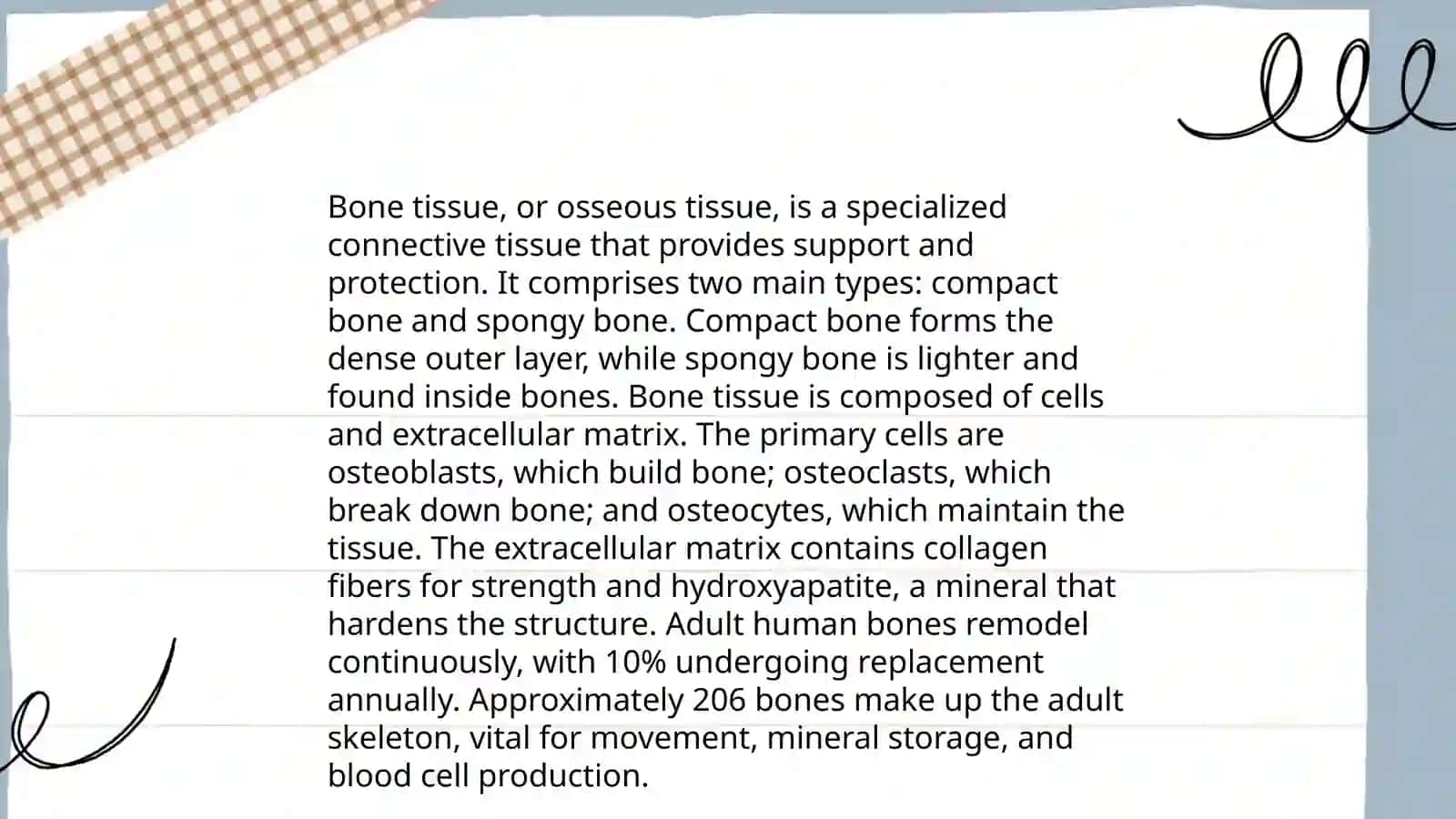 Anatomy of skeletal system 4