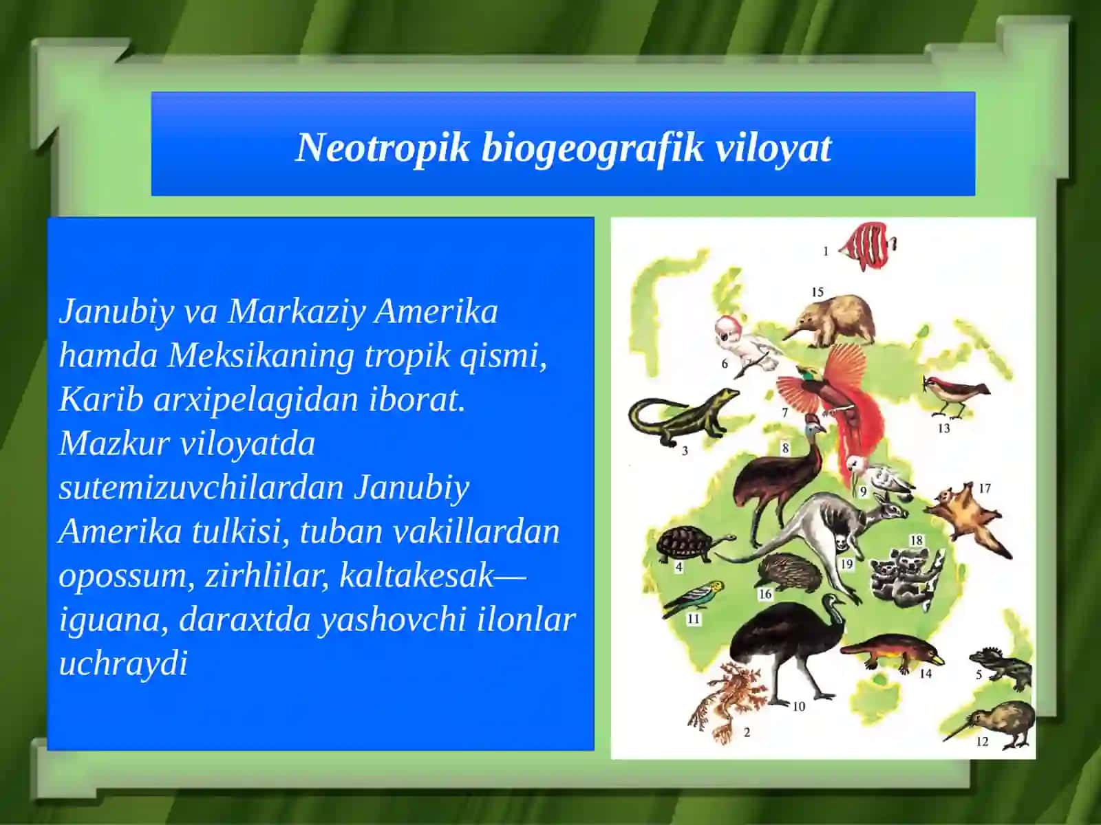 Evolutsiyani isbotlashda biogeografiya fanidagi illari 4