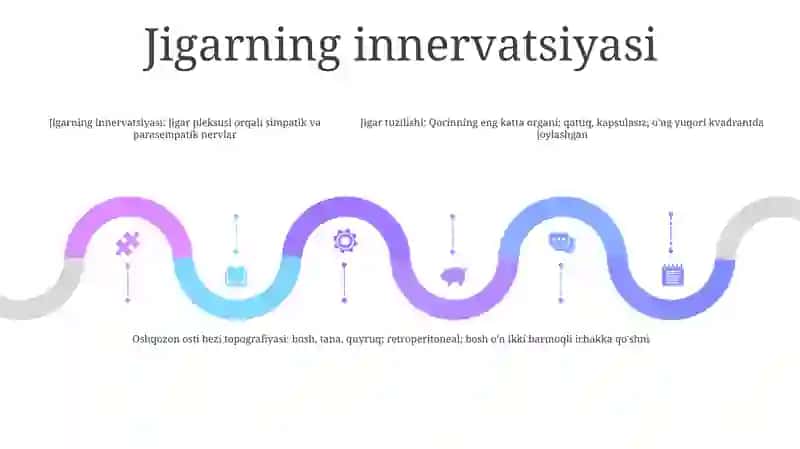 Liver. Pancreas: Structure And Topography 4
