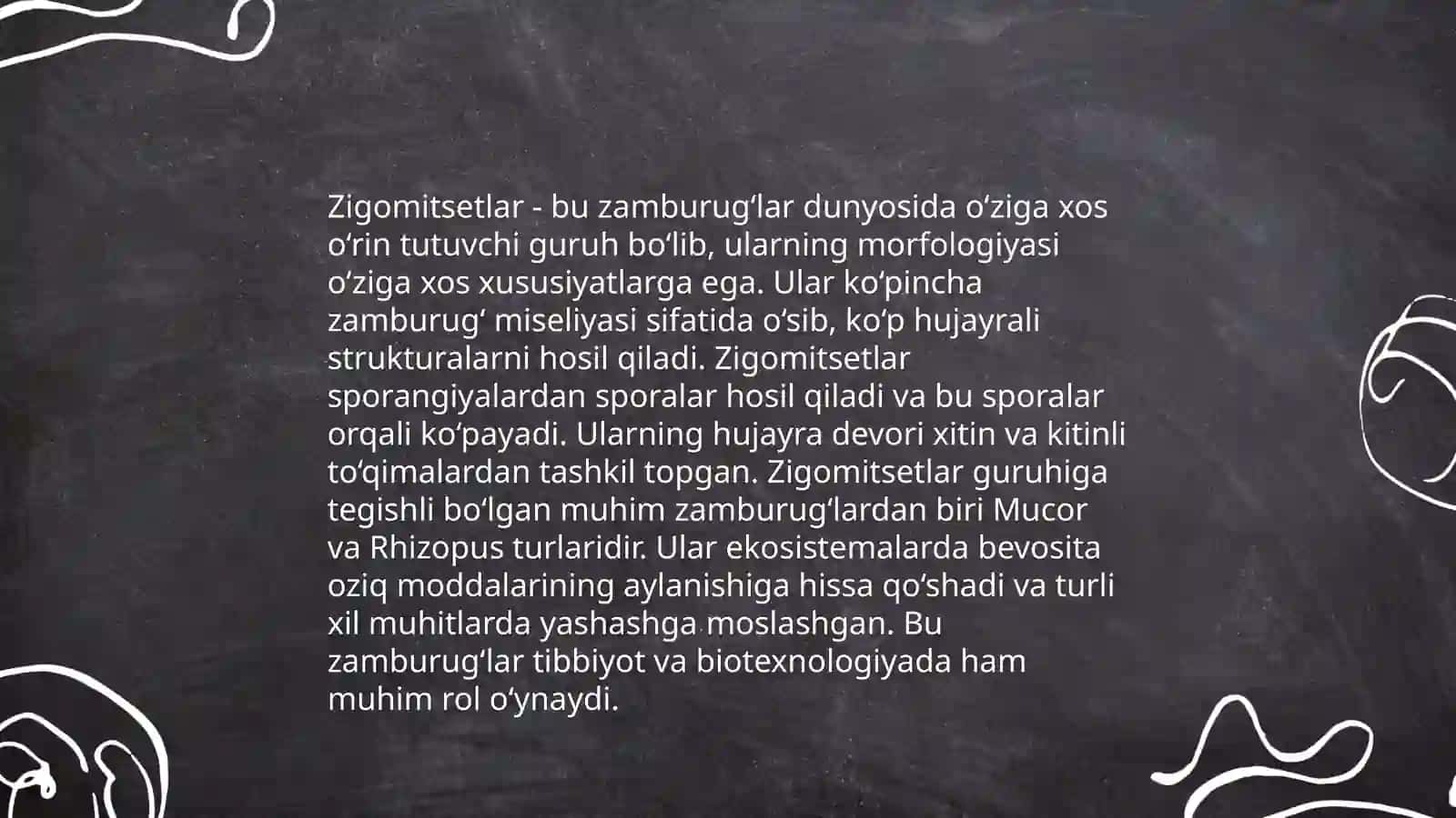 Zigomitsetlar sinfi taksanomiyasi, muhim vakillari 4