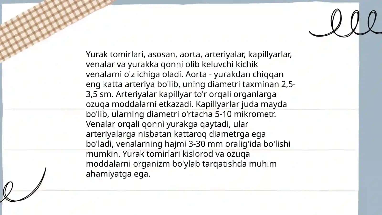 Yurakni qon bilan ta'minlanishining o'ziga xos xususiyatlari. Gemodinamika 4