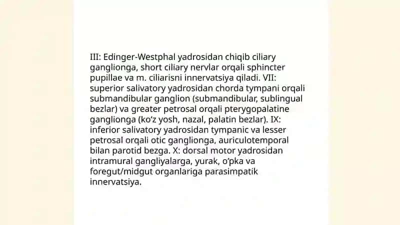 Parasimpatik nerv anatomik tuzulishi 4