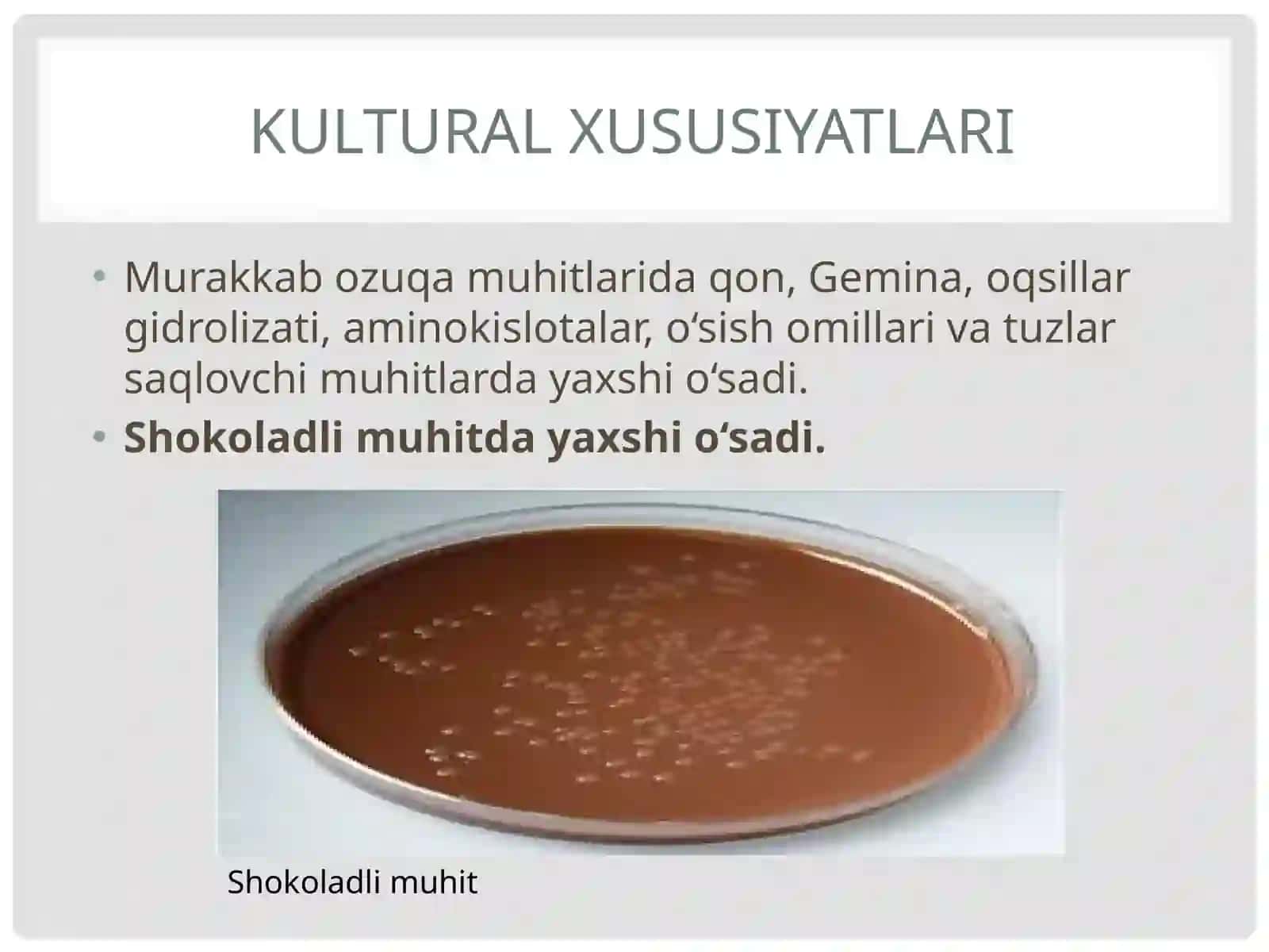 Kampilobakteriyalar, xelikobakteriyalar va ularning amaliyotdagi ahamiyati 4