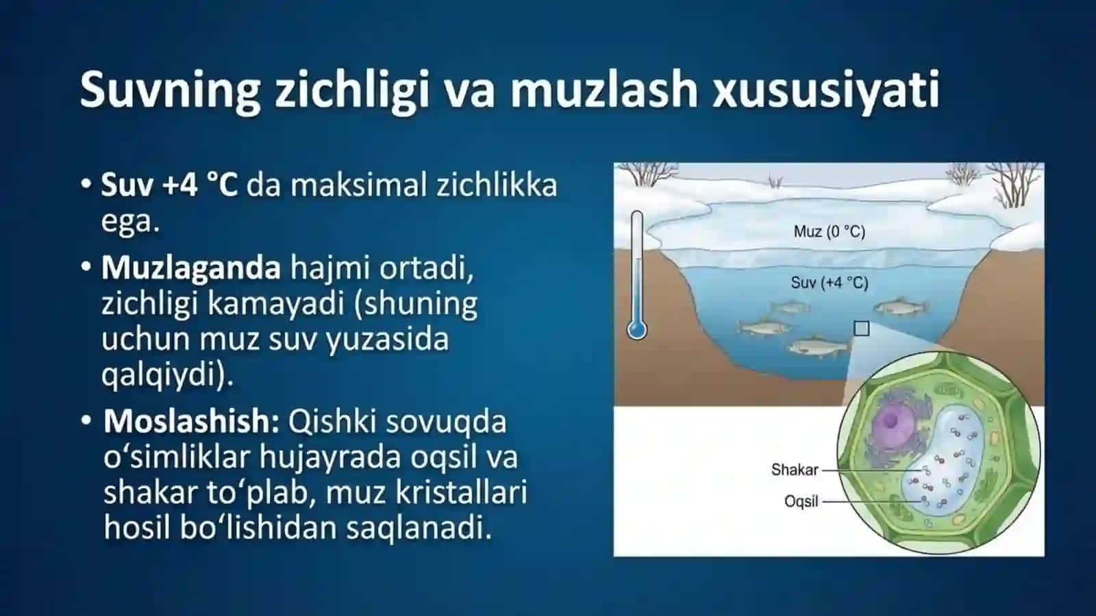 Suvning tirik organizmlar uchun ahamiyati 4