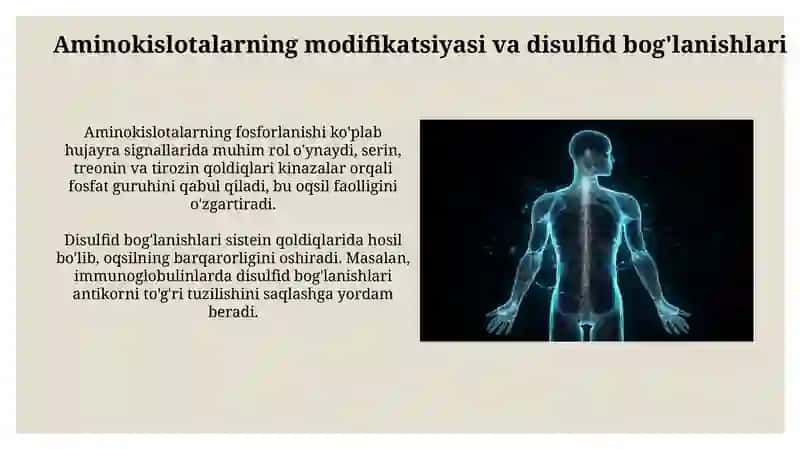 Odam oʻrganizmda oqsinlarning biokimyoviy oʻzgarishi 4